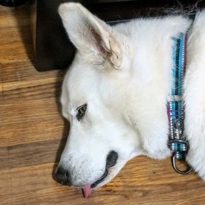 Meet your Posher, Tanya